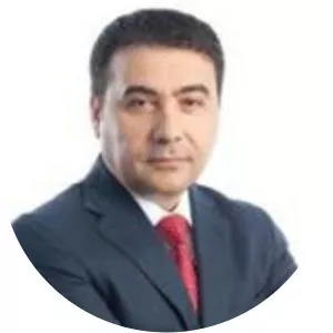 Stelian Fuia - Politician