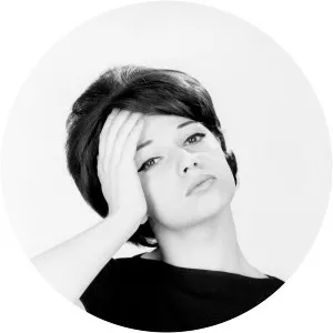 armandino stella dizzy