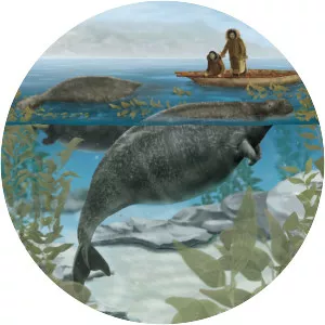 Steller's sea cow