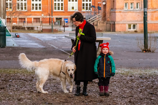 Stepan A. Ermakov hundepass - Dog walker in Oslo, Norway