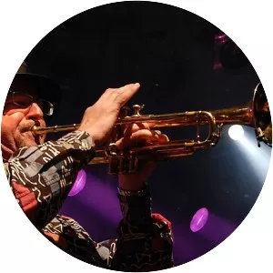 Stephan Zimmermann Musician