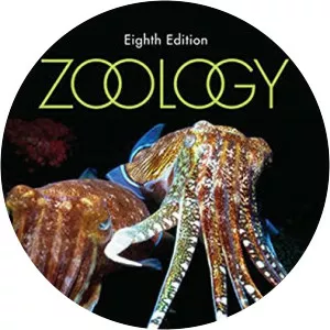 Stephen A. Miller - Author