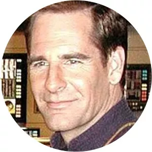 Stephen J. Bartowski - Fictional character