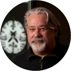 Stephen José Hanson