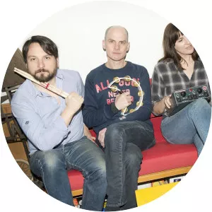 Stephen Malkmus and the Jicks