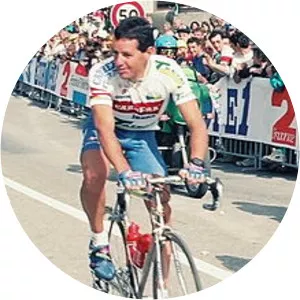 Stephen Roche