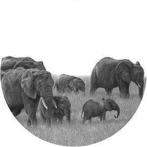 Stephen Walton - Author