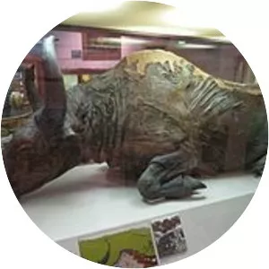 Steppe bison - Animal