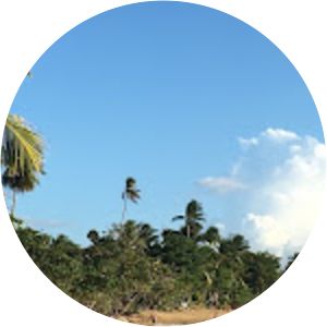 Steps Beach - Reserva Marina Tres Palmas - Beach in Puerto Rico