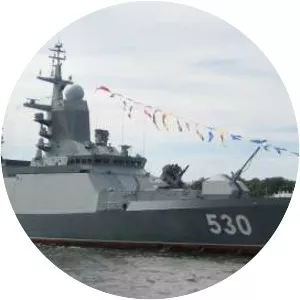 Steregushchiy-class corvette
