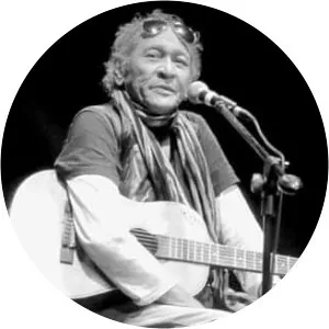 Steve Fataar - Musical artist