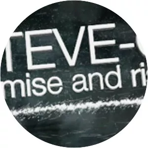 Steve-O: Demise and Rise