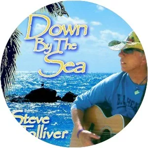 Steve Tolliver - Musical artist