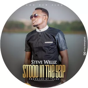 Steve Williz - Musical artist