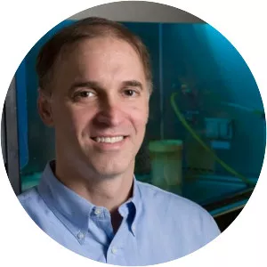 Steven Artandi - Professor