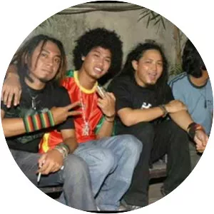 Steven & Coconut Treez