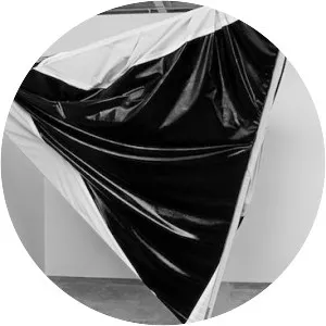Steven Parrino
