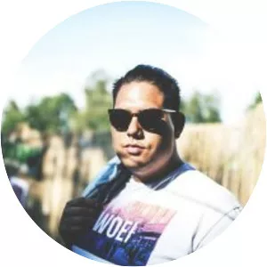 Steven Pieters - Musical artist