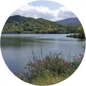 Stevens Creek - Creek in California