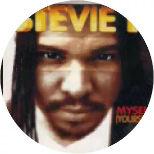 Stevie H - Musical artist