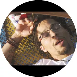 Stevo the Weirdo - Musical artist