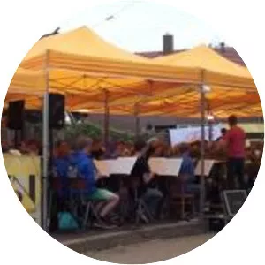 Stichting ZomerOrkest Nederland