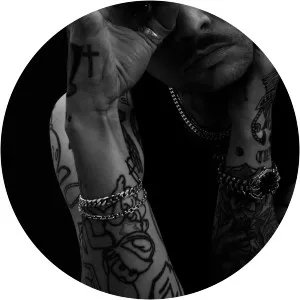 Stig Brenner - Musical artist