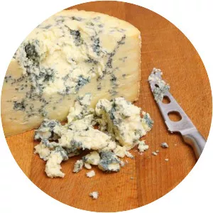 Stilton cheese photograph
