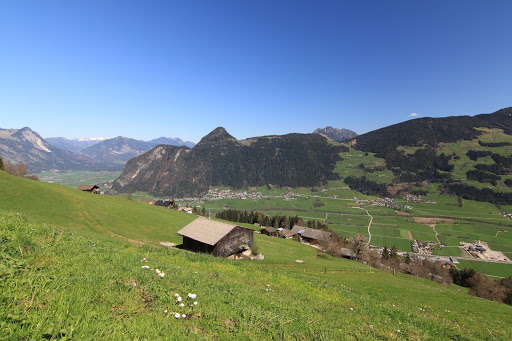 Stoixnerhof - 