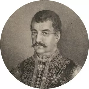 Stojan Simić - Politician