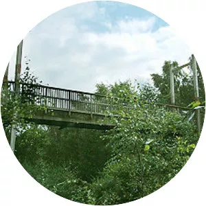 Stoke-on-Trent Garden Festival - 