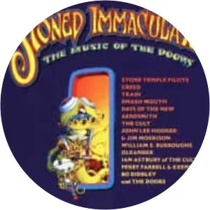 Stoned Immaculate: The Music of The . . .