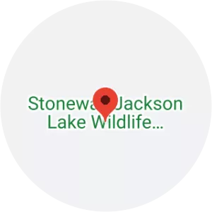 Stonewall Jackson Lake Wildlife Management Area - 