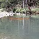 Stoney Creek Day Use Area - 