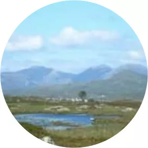 Stony Steps - Album by Matt Molloy