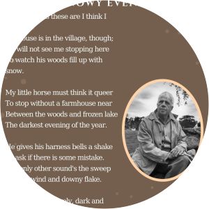 Stopping by Woods on a Snowy Evening