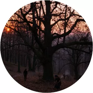 Stories from the Chestnut Woods