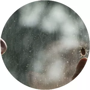 Stories Of The Half-light - 2018 ‧ Documentary ‧ 1h 8m