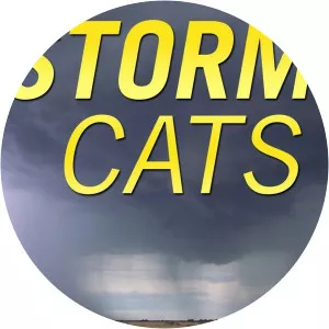 Storm Cats photograph