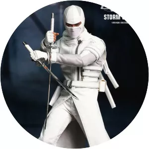 Storm Shadow - Fictional character