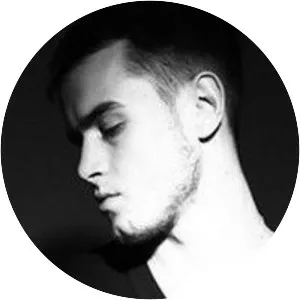 Стоункат - Musical artist