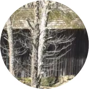 Stovall Mill Covered Bridge