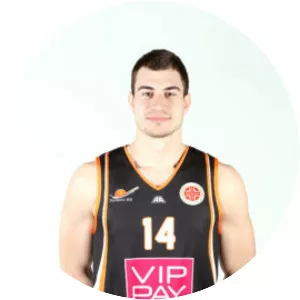 Strahinja Gavrilović