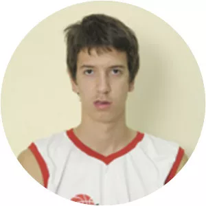 Strahinja Stojačić