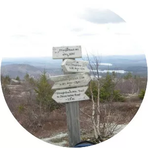 Straightback Mountain