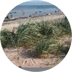 Strandbakkerne - 