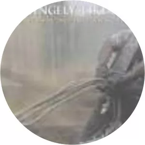 Strangely Like War - Book by Derrick Jensen and George Draffan