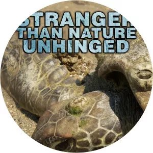 Stranger Than Nature2012 – 2013