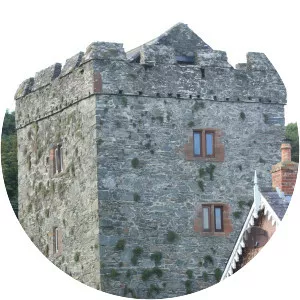 Strangford Castle - 