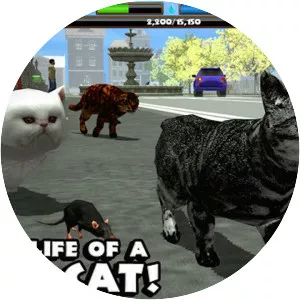 Stray Cat Simulator